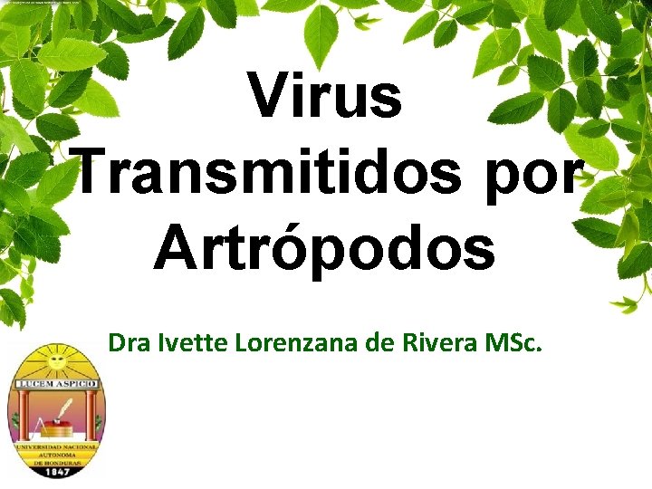 Virus Transmitidos por Artrópodos Dra Ivette Lorenzana de Rivera MSc. 