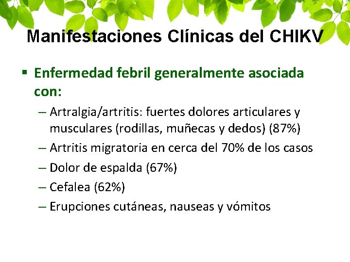 Manifestaciones Clínicas del CHIKV § Enfermedad febril generalmente asociada con: – Artralgia/artritis: fuertes dolores