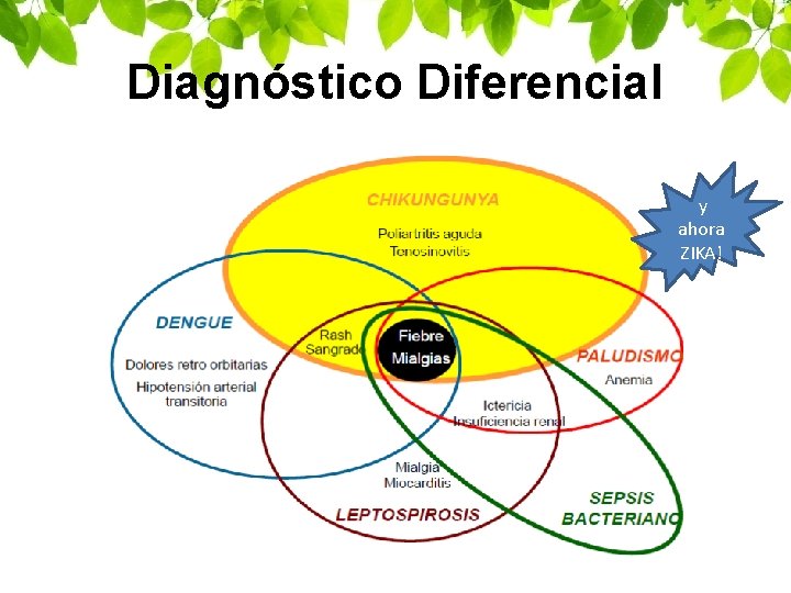 Diagnóstico Diferencial y ahora ZIKA! 