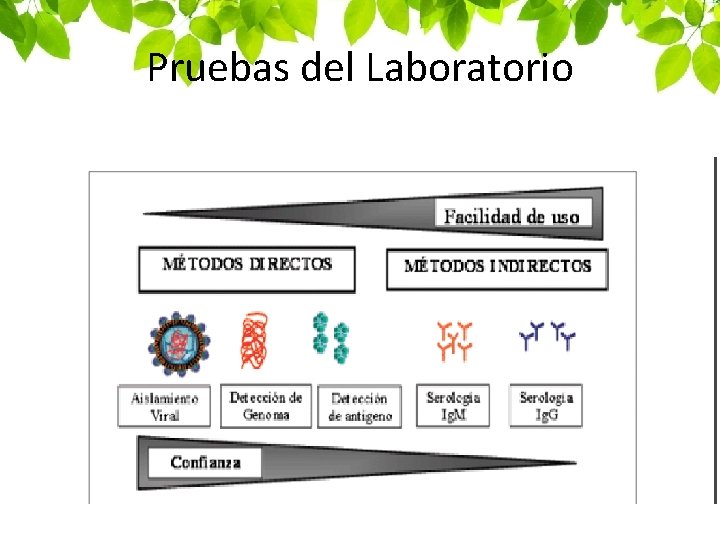 Pruebas del Laboratorio 