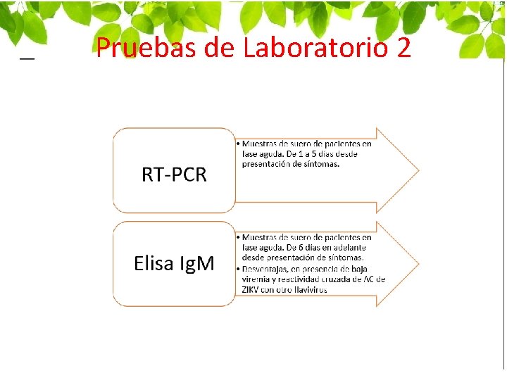 Pruebas de Laboratorio 2 