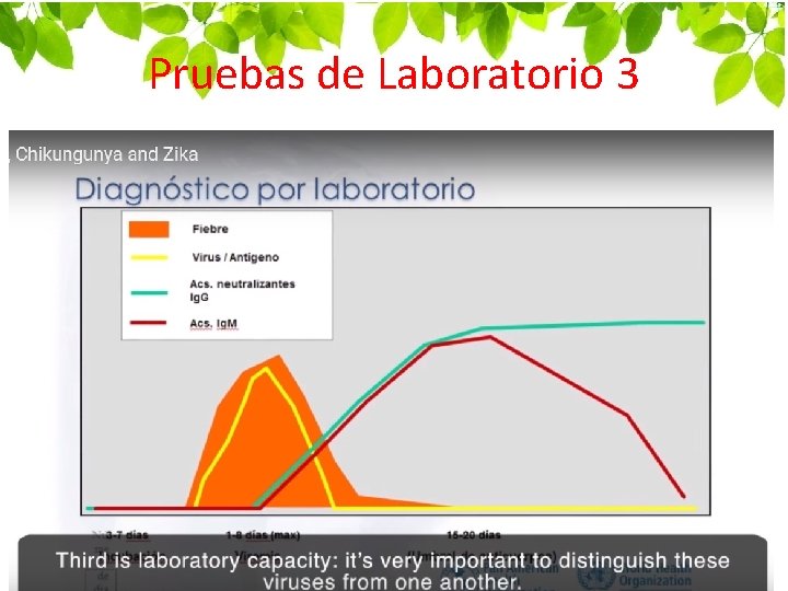 Pruebas de Laboratorio 3 