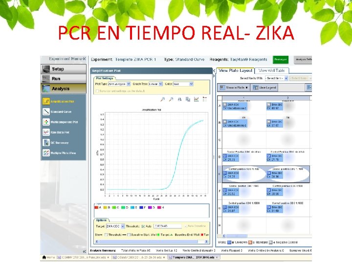 PCR EN TIEMPO REAL- ZIKA 