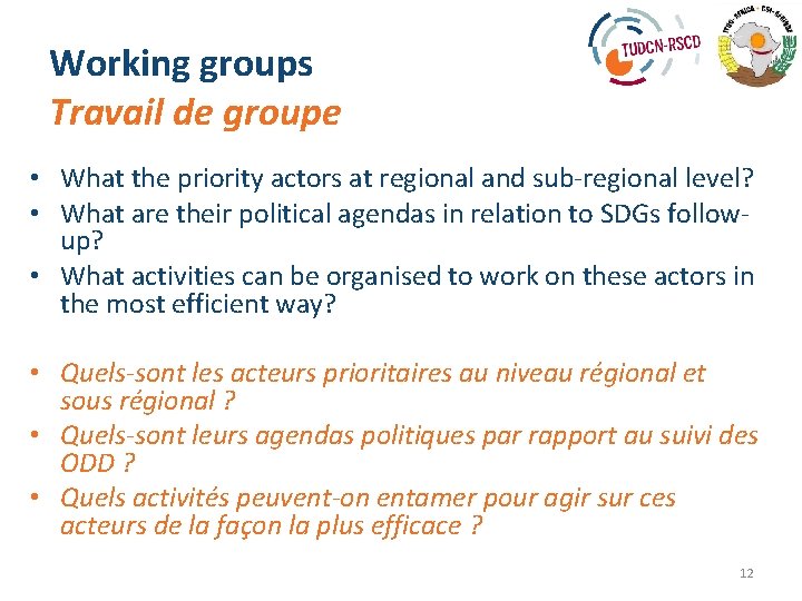 Working groups Travail de groupe • What the priority actors at regional and sub-regional