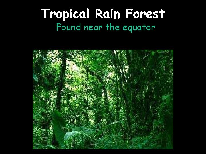 Tropical Rain Forest Found near the equator 