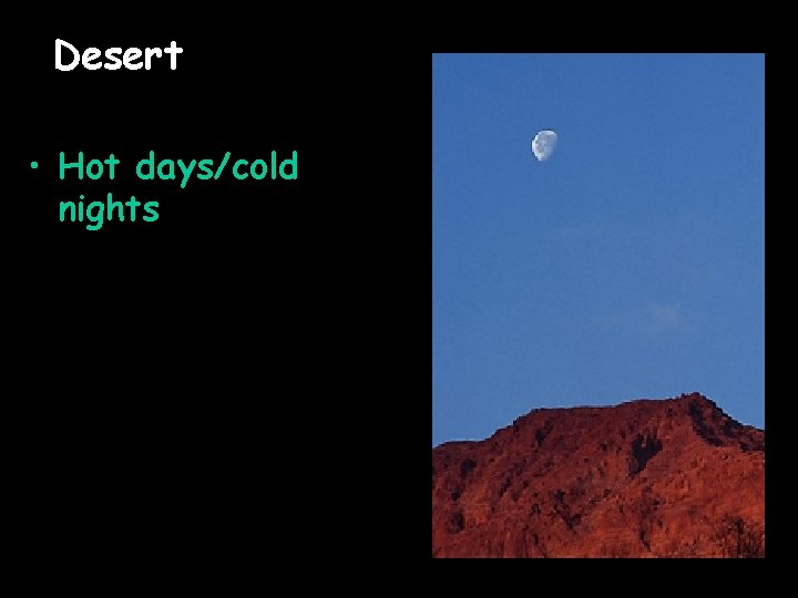 Desert • Hot days/cold nights 