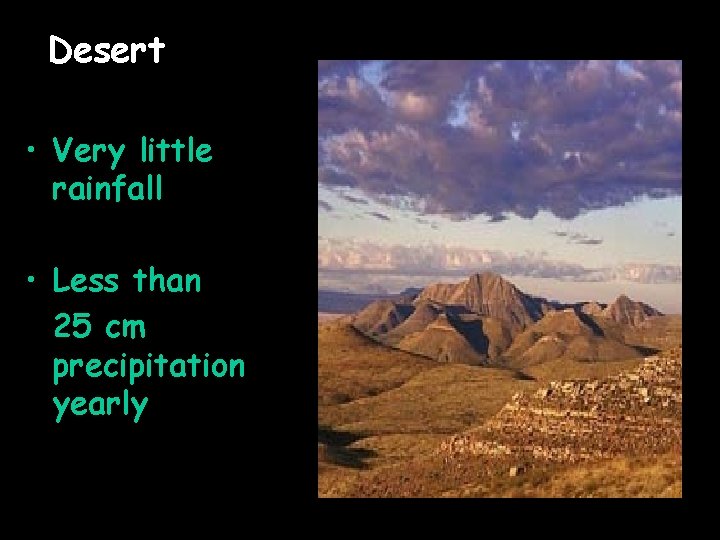 Desert • Very little rainfall • Less than 25 cm precipitation yearly 