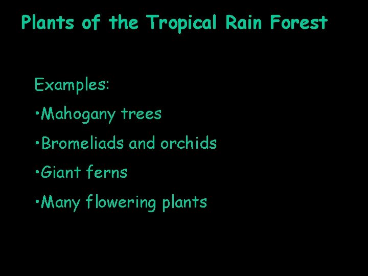 Plants of the Tropical Rain Forest Examples: • Mahogany trees • Bromeliads and orchids