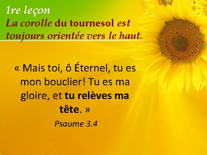 1 re leçon La corolle du tournesol est toujours orientée vers le haut. «