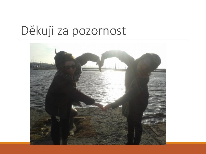 Děkuji za pozornost 