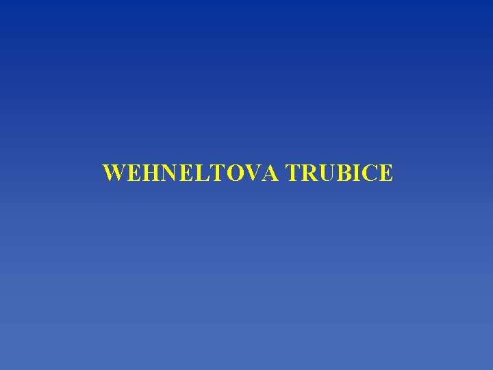 WEHNELTOVA TRUBICE 