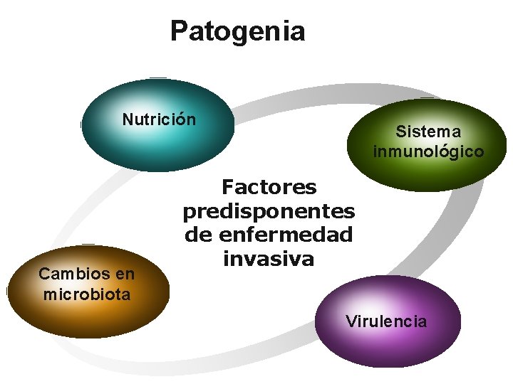Patogenia Nutrición Cambios en microbiota Sistema inmunológico Factores predisponentes de enfermedad invasiva Virulencia 
