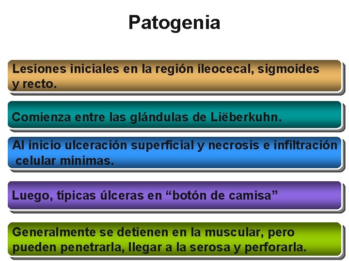 Patogenia Lesiones iniciales en la región íleocecal, sigmoides y recto. Comienza entre las glándulas