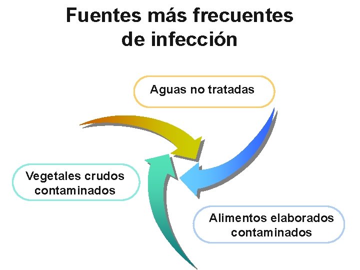 Fuentes más frecuentes de infección Aguas no tratadas Vegetales crudos contaminados Alimentos elaborados contaminados