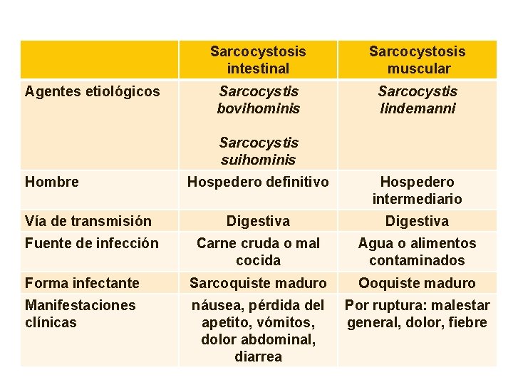 Agentes etiológicos Sarcocystosis intestinal Sarcocystosis muscular Sarcocystis bovihominis Sarcocystis lindemanni Sarcocystis suihominis Hombre Hospedero