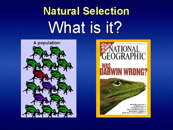 Natural Selection What is it? 