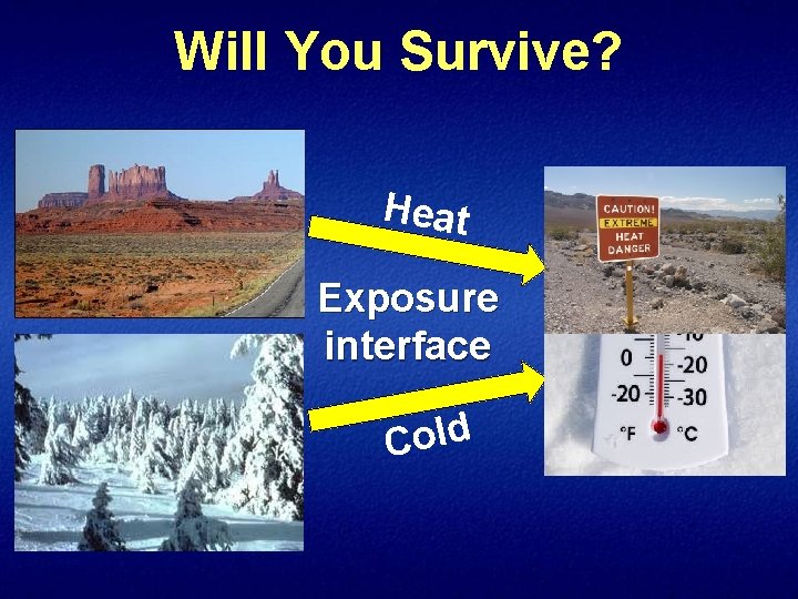 Will You Survive? Heat Exposure interface Cold 