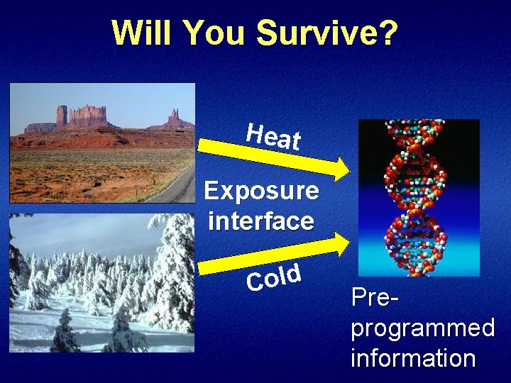Will You Survive? Heat Exposure interface Cold Preprogrammed information 