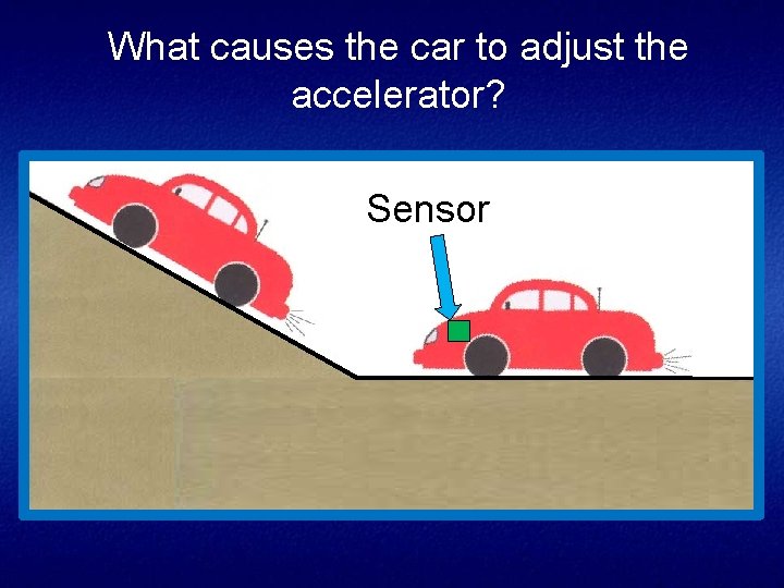 What causes the car to adjust the accelerator? Sensor 