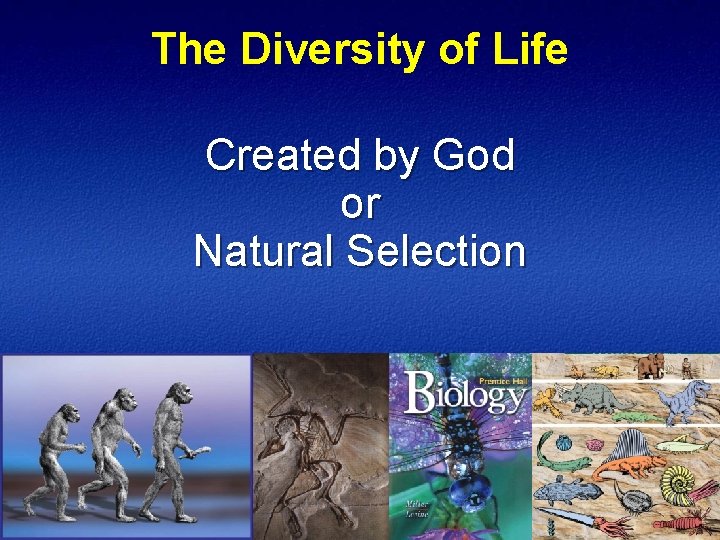 The Diversity of Life Created by God or Natural Selection 