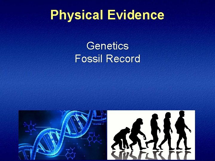 Physical Evidence Genetics Fossil Record 