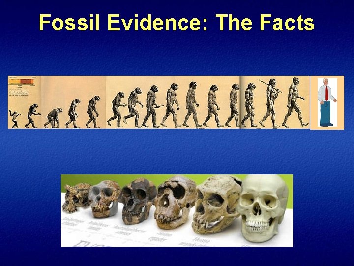 Fossil Evidence: The Facts 