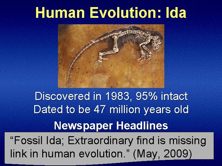 Human Evolution: Ida Discovered in 1983, 95% intact Dated to be 47 million years