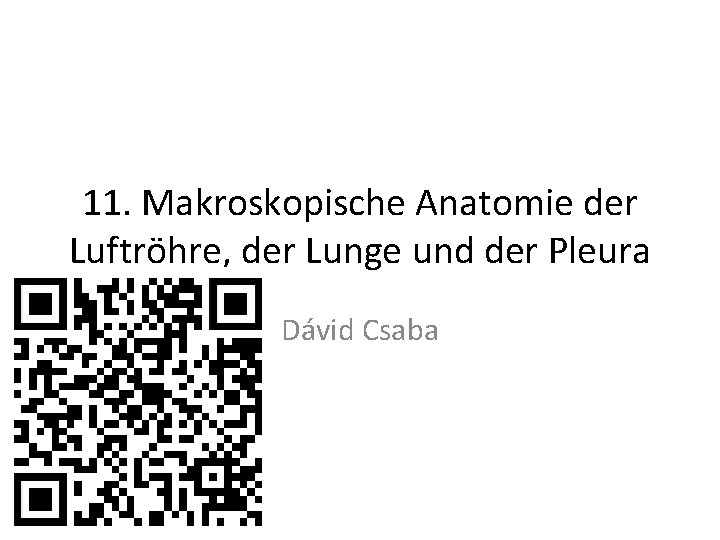 11. Makroskopische Anatomie der Luftröhre, der Lunge und der Pleura Dávid Csaba 