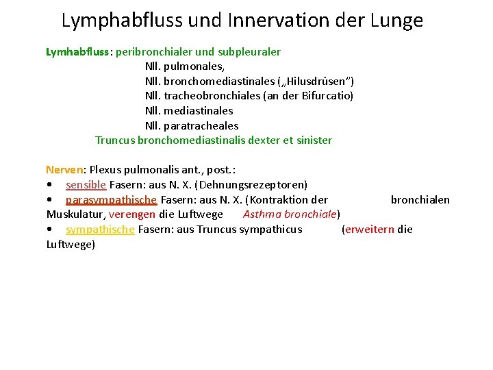Lymphabfluss und Innervation der Lunge Lymhabfluss: peribronchialer und subpleuraler Nll. pulmonales, Nll. bronchomediastinales („Hilusdrüsen”)