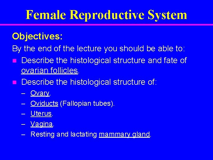 Female Reproductive System Objectives: By the end of the lecture you should be able