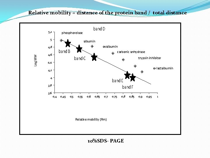 Relative mobility = distance of the protein band / total distance 5, 2 phosphorelase