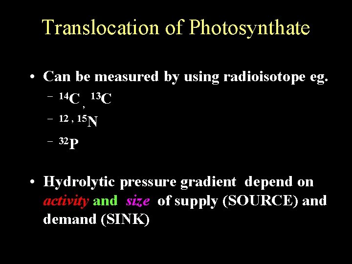 Translocation of Photosynthate • Can be measured by using radioisotope eg. – 14 C