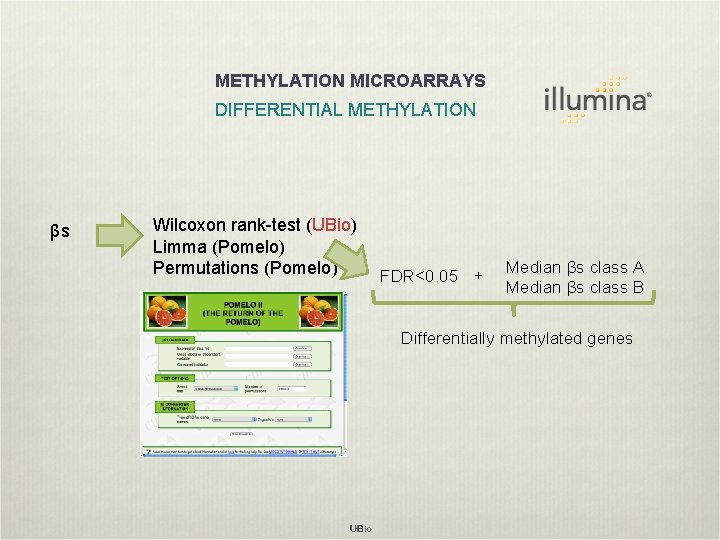 METHYLATION MICROARRAYS DIFFERENTIAL METHYLATION βs Wilcoxon rank-test (UBio) Limma (Pomelo) Permutations (Pomelo) FDR<0. 05