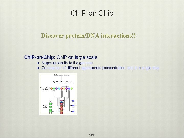 Ch. IP on Chip Discover protein/DNA interactions!! 