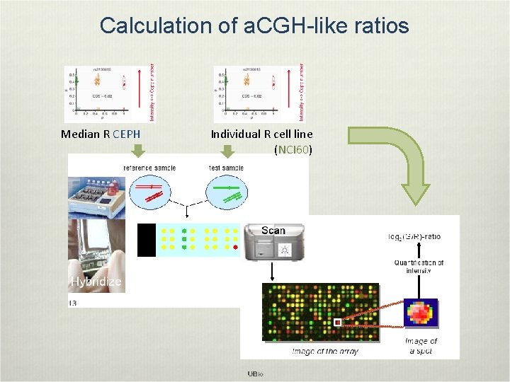 Calculation of a. CGH-like ratios Median R CEPH Individual R cell line (NCI 60)