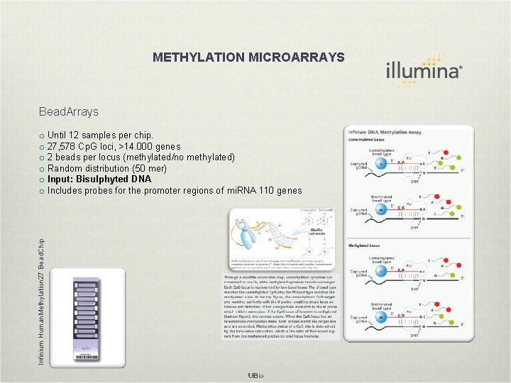 METHYLATION MICROARRAYS Bead. Arrays Infinium Human. Methylation 27 Bead. Chip o Until 12 samples