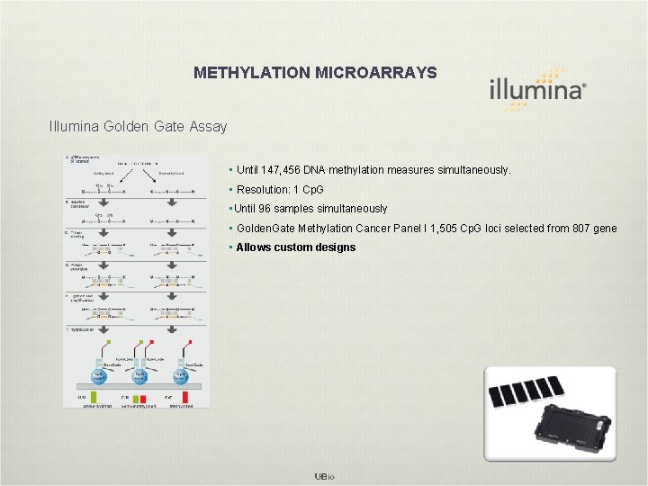 METHYLATION MICROARRAYS Illumina Golden Gate Assay • Until 147, 456 DNA methylation measures simultaneously.