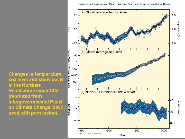 Changes in temperature, sea level and snow cover in the Northern Hemisphere since 1850