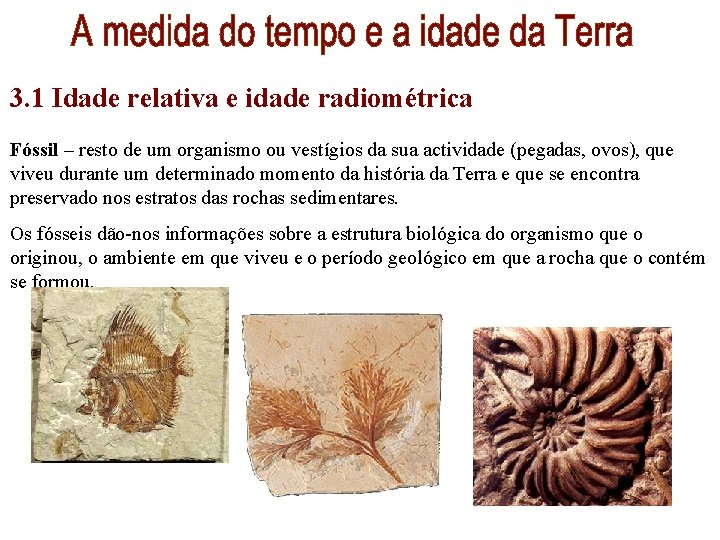 3. 1 Idade relativa e idade radiométrica Fóssil – resto de um organismo ou