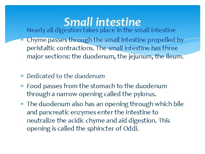 Small intestine Nearly all digestion takes place in the small intestine Chyme passes through