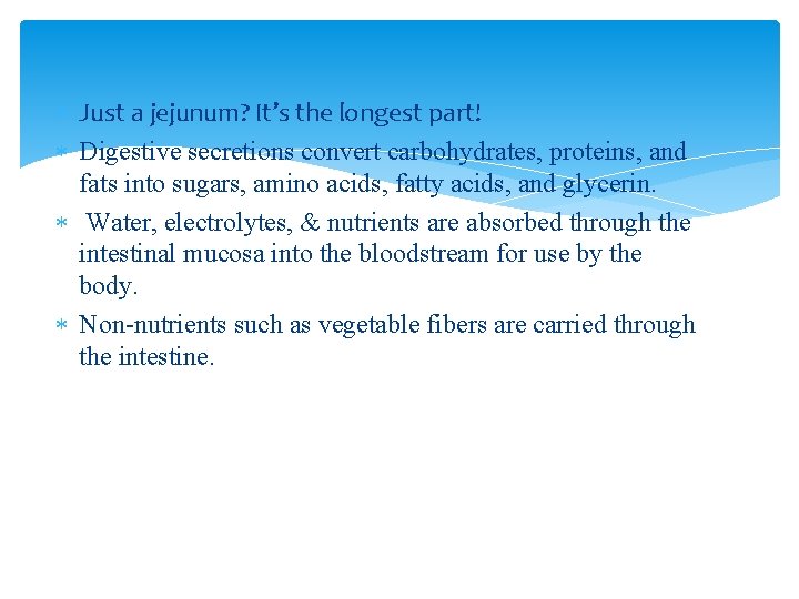  Just a jejunum? It’s the longest part! Digestive secretions convert carbohydrates, proteins, and