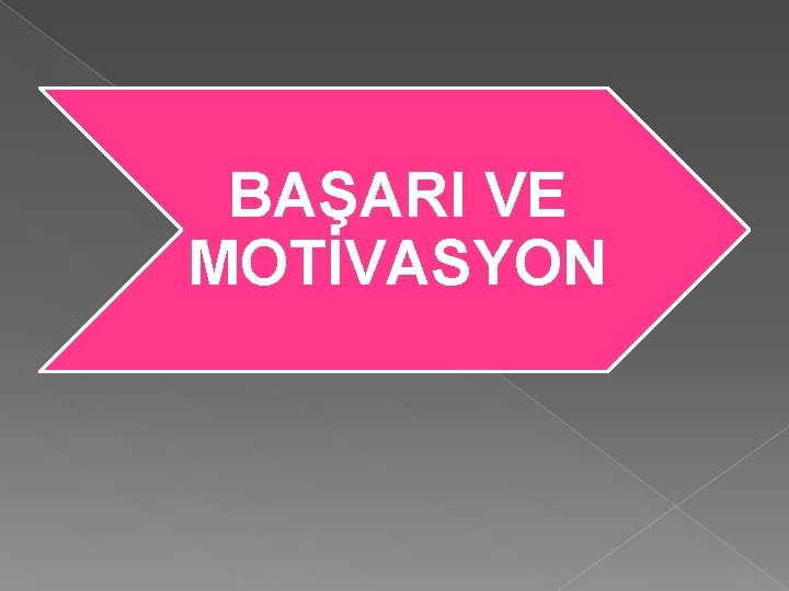 BAŞARI VE MOTİVASYON 