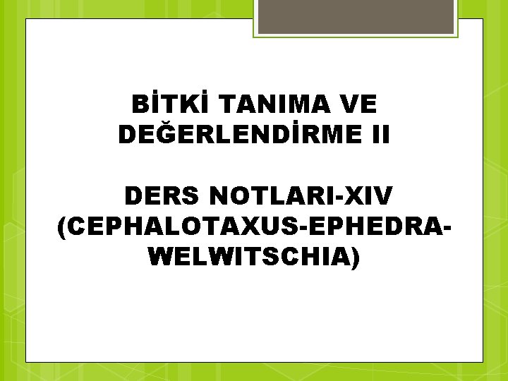 BİTKİ TANIMA VE DEĞERLENDİRME II DERS NOTLARI-XIV (CEPHALOTAXUS-EPHEDRAWELWITSCHIA) 