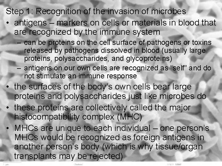 Step 1: Recognition of the invasion of microbes • antigens – markers on cells