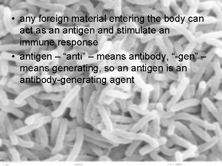  • any foreign material entering the body can act as an antigen and