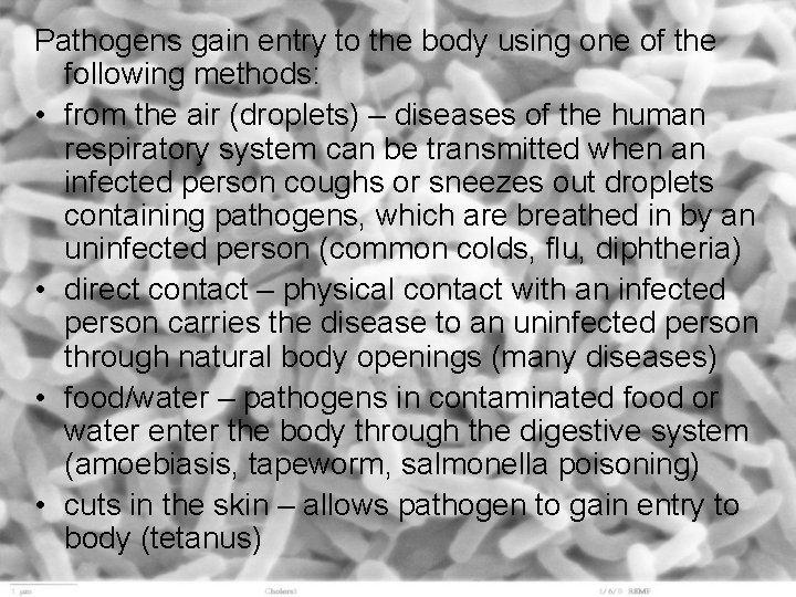 Pathogens gain entry to the body using one of the following methods: • from