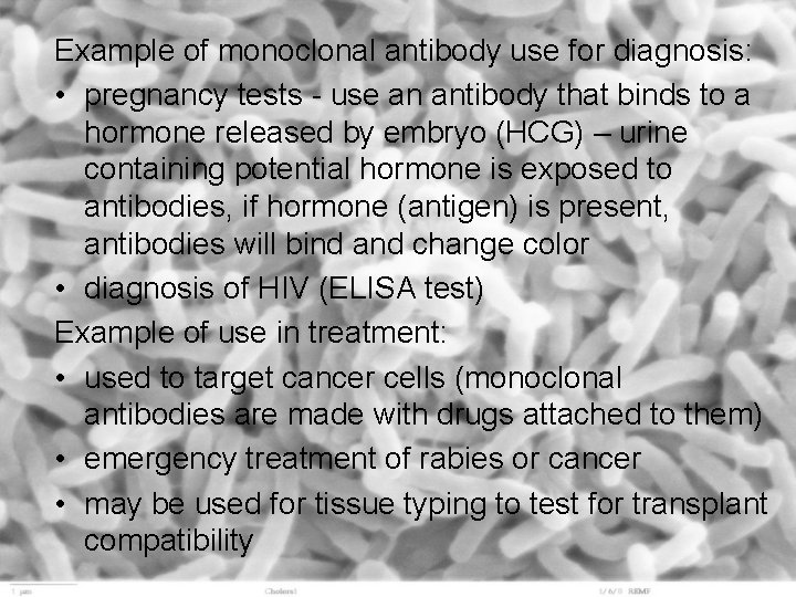 Example of monoclonal antibody use for diagnosis: • pregnancy tests - use an antibody