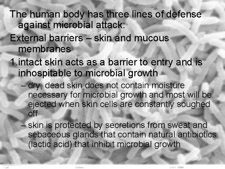 The human body has three lines of defense against microbial attack: External barriers –