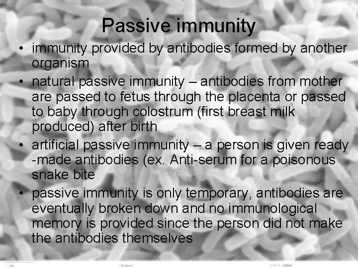 Passive immunity • immunity provided by antibodies formed by another organism • natural passive