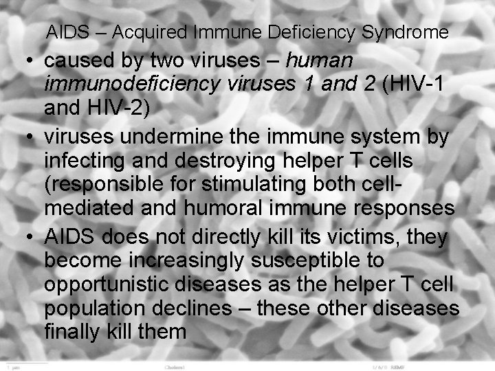 AIDS – Acquired Immune Deficiency Syndrome • caused by two viruses – human immunodeficiency